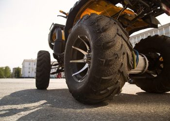 Nepromišljeni off-road vožnja završila uhićenjem blizu zoološkog vrta Salisbury