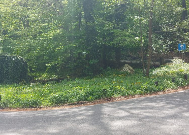 22. TRAVNJA DAN PLANETA ZEMLJE
Dan planeta Zemlje obilježili smo ovaj tjedan, 2… 22. TRAVNJA DAN PLANETA ZEMLJE
Dan planeta Zemlje obilježili smo ovaj tjedan, 2…