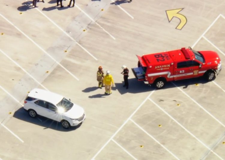 Automobil se zapalio na parkingu u Disneylandu Automobil se zapalio na parkingu u Disneylandu