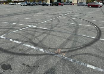 Jursko parkiralište: ‘Dinosaur’ označen za vožnju u prtljažniku BC automobila