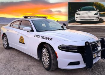 Vozač navodno pokušao s ceste skrenuti Teslu pri 100mph