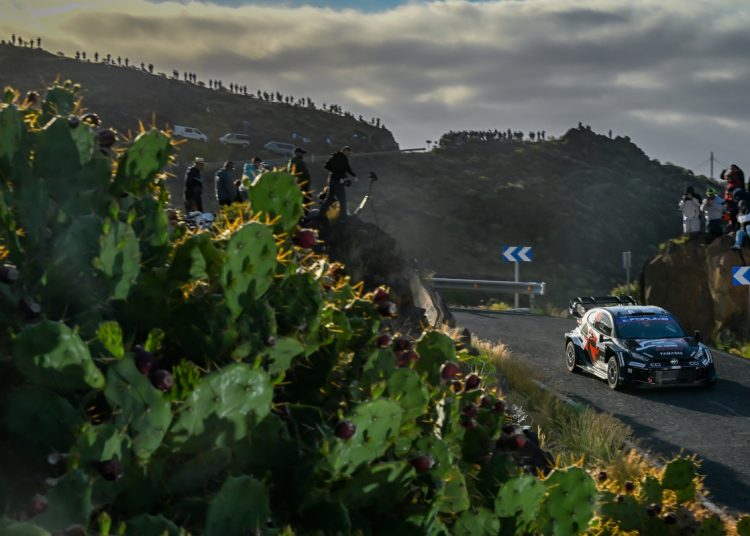 
WRC Rally Kanarski otoci
