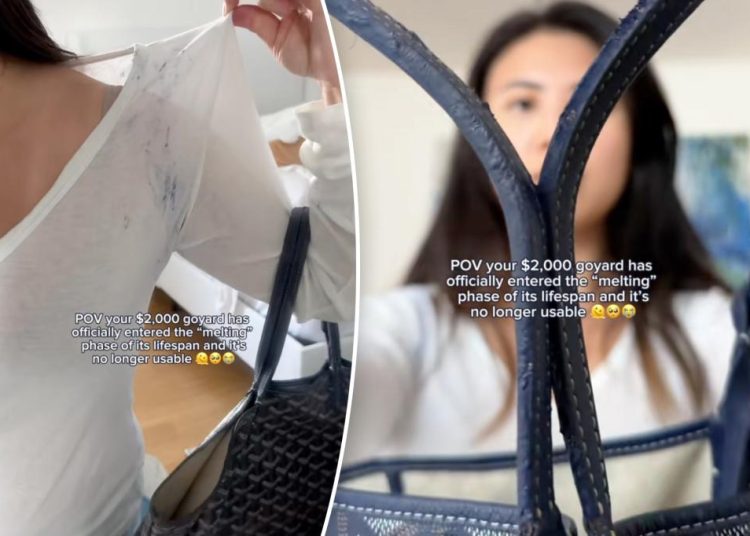 Ljubitelji mode tvrde da se ova popularna dizajnerska torba od 2.000 dolara tope i oštećuju njihovu odjeću. Ljubitelji mode tvrde da se ova popularna dizajnerska torba od 2.000 dolara tope i oštećuju njihovu odjeću.