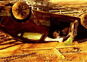 Tesla koja se sama vozi iznenada skrene s ceste i sruši se