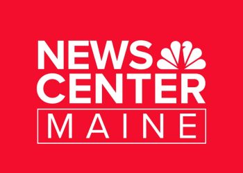 Vozač umire nakon sudara u automobilu tijekom utrke Forest Rally