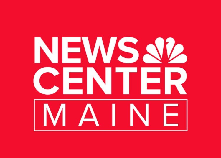 Vozač umire nakon sudara u automobilu tijekom utrke Forest Rally