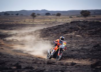 Sanders osvaja igru mačaka i miša na pozornici 4