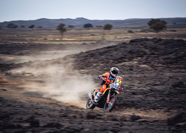 Sanders osvaja igru mačaka i miša na pozornici 4