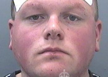 Nepromišljeni vozač koji je skrenuo s ceste i ubio mamu dvojice završio u zatvoru