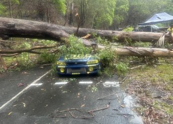 Auto je udario oboreno stablo tijekom utrke uspona Auto je udario oboreno stablo tijekom utrke uspona