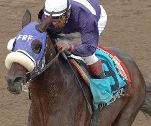 Život nakon utrke: Milijunaš iz New Yorka, nestašni Njujorčanin napreduje kao ambasador nakon skrbi | Teme: NYRA, Stari prijatelji, New York Racing Association