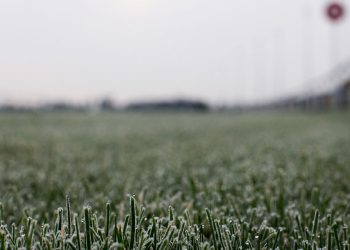 Vrijeme utrke i novosti o inspekciji