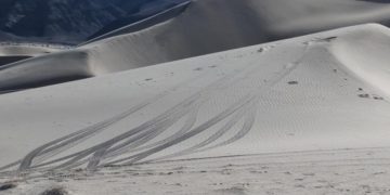 Dolina smrti traži savjete nakon što je ilegalna vožnja izvan cesta oštetila rijetke biljne vrste