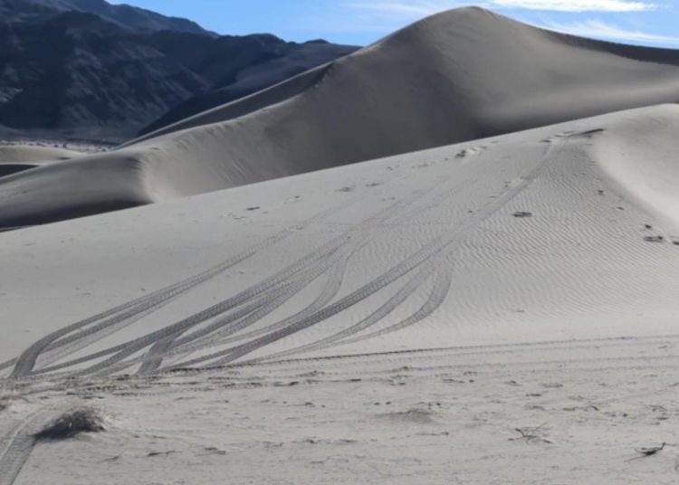 Dolina smrti traži savjete nakon što je ilegalna vožnja izvan cesta oštetila rijetke biljne vrste Dolina smrti traži savjete nakon što je ilegalna vožnja izvan cesta oštetila rijetke biljne vrste