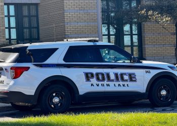 Vozač skliznuo s ceste, zapao u snijegu i kažnjen za vožnju u pijanom stanju: policijski zapis Avon Lakea