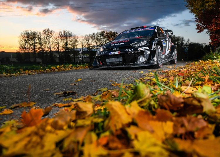 Ogier odustao iz WRC srednjoeuropskog relija nakon sudara sa stablom