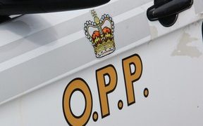 Početnički vozač optužen nakon što je vozilo sletjelo s ceste u Petawawi