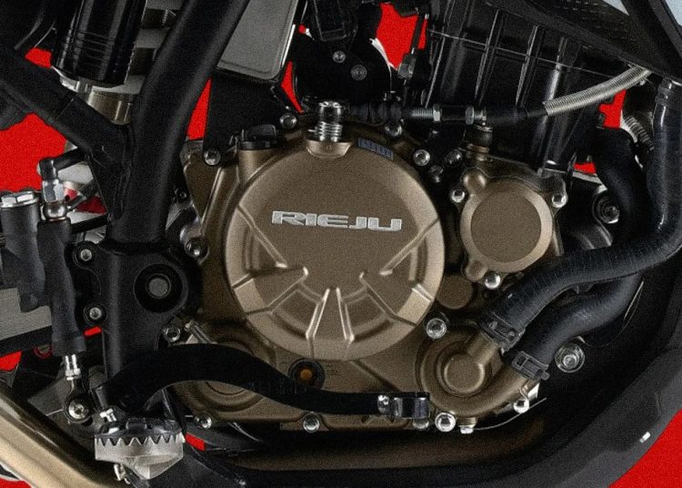 Prekrasni avanturistički bicikl: sposoban i pristupačan