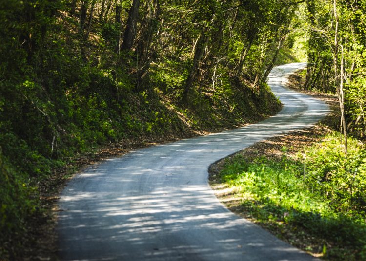 Tri vrlo različita dana na Rally Croatia