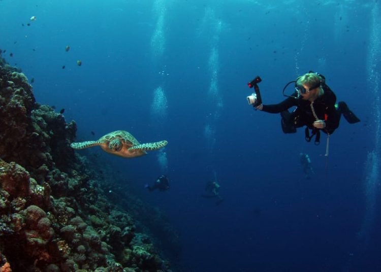 4 nevjerojatna ronilačka odredišta u Indiji koja svaki ljubitelj oceana mora posjetiti