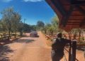 AŽURIRAJ | Kruger Park Speedster se ispričava, ali SANparks tvrdi ‘premalo, prekasno’