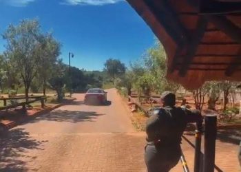 AŽURIRAJ | Kruger Park Speedster se ispričava, ali SANparks tvrdi ‘premalo, prekasno’