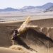Pregled rute Dakar 2026.
