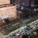 Buenos Aires slavi Svjetski dan buba Buenos Aires slavi Svjetski dan buba