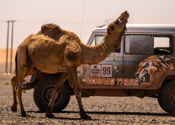 Cosmo Tires i D-Boss Old Garage lansiraju seriju Road to Dakar – Posao s gumama