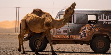 Cosmo Tires i D-Boss Old Garage lansiraju seriju Road to Dakar – Posao s gumama