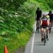 Freewheelers testiraju zavoje na Auke Rec Circuit Race Freewheelers testiraju zavoje na Auke Rec Circuit Race