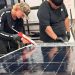 Ljubitelji solarnih automobila moći će pratiti Iron Lions od nedjelje Ljubitelji solarnih automobila moći će pratiti Iron Lions od nedjelje