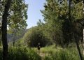 Sportske gaćice: nadolazeće trkaće utrke