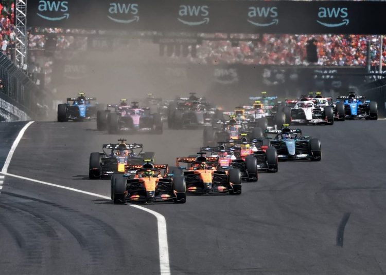 Vjerojatno najbolji vozač vikenda na VN Mađarske F1