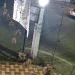 Videozapis: Mladi prave gužvu automobilskim vratolomijama u Attapuru, Hyderabad Videozapis: Mladi prave gužvu automobilskim vratolomijama u Attapuru, Hyderabad