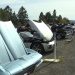 Ljubitelji automobila okupljaju se na ‘Revving for Rescues’ u korist lokalnih skloništa za životinje Ljubitelji automobila okupljaju se na ‘Revving for Rescues’ u korist lokalnih skloništa za životinje